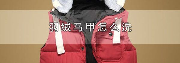 羽绒马甲怎么洗