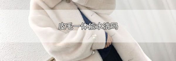 皮毛一体能水洗吗