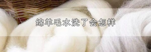 绵羊毛水洗了会怎样