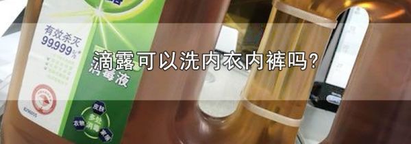 滴露可以洗内衣内裤吗?