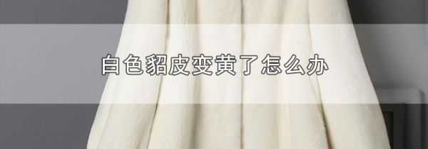 白色貂皮变黄了怎么办
