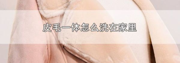 皮毛一体怎么洗在家里