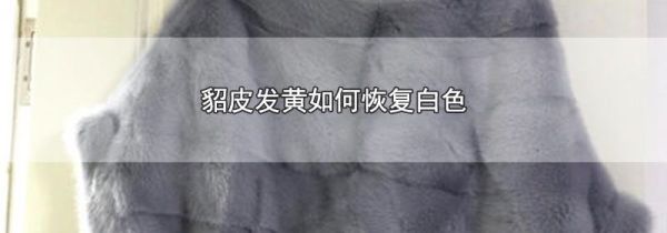 貂皮发黄如何恢复白色