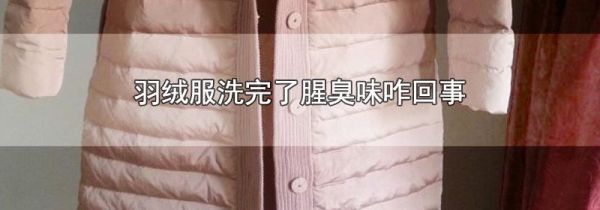 羽绒服洗完了腥臭味咋回事