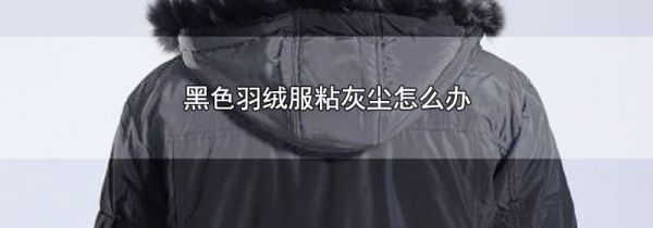 黑色羽绒服粘灰尘怎么办