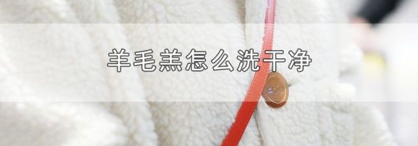 羊毛羔怎么洗干净