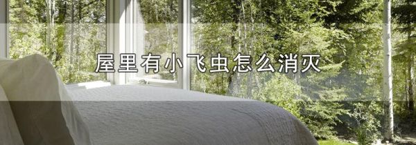 屋里有小飞虫怎么消灭