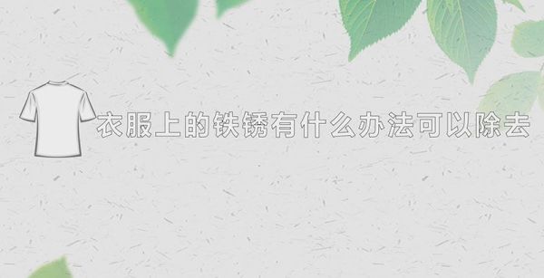衣服上的铁锈有什么办法可以除去