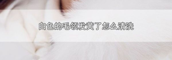 白色的毛领发黄了怎么清洗