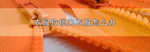衣服拉锁夹衣服怎么办