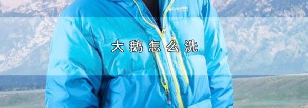 大鹅怎么洗