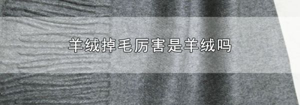 羊绒掉毛厉害是羊绒吗