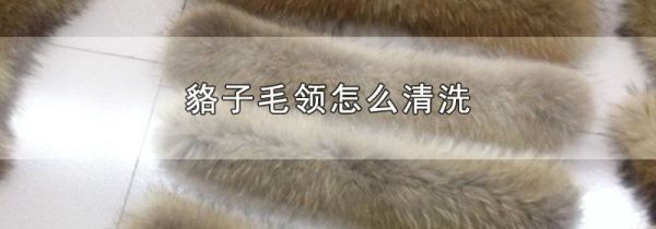 貉子毛领怎么清洗