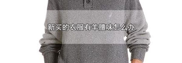 新买的衣服有羊膻味怎么办