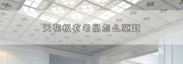 天花板有老鼠怎么驱赶