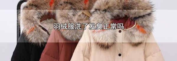羽绒服洗了发臭正常吗