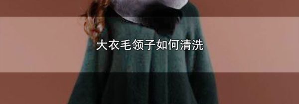 大衣毛领子如何清洗