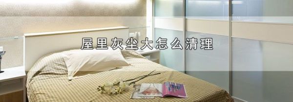 屋里灰尘大怎么清理