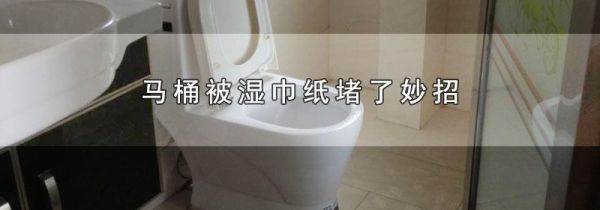 马桶被湿巾纸堵了妙招