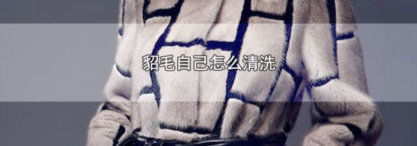 貂毛自己怎么清洗