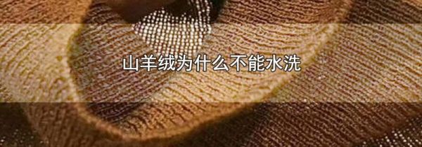 山羊绒为什么不能水洗