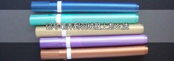 记号笔弄到羽绒服上怎么洗