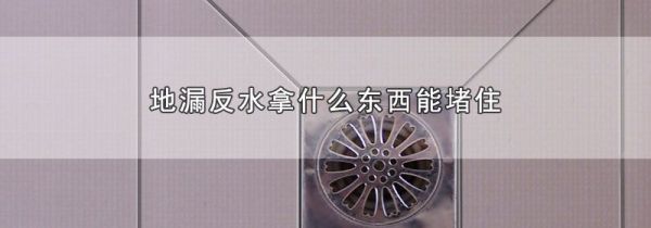 地漏反水拿什么东西能堵住