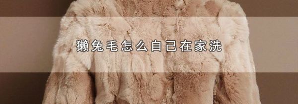 獭兔毛怎么自己在家洗