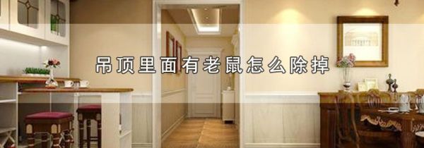 吊顶里面有老鼠怎么除掉