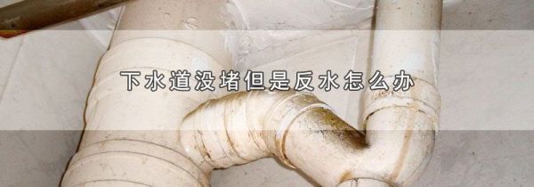 下水道没堵但是反水怎么办