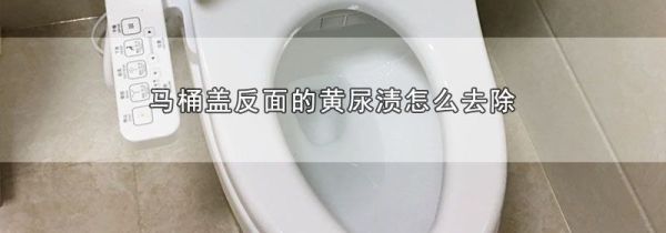 马桶盖反面的黄尿渍怎么去除