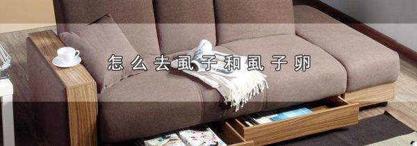 怎么去虱子和虱子卵