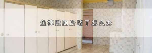 鱼掉进厕所堵了怎么办