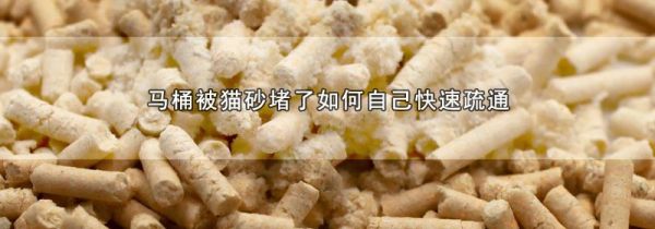 马桶被猫砂堵了如何自己快速疏通