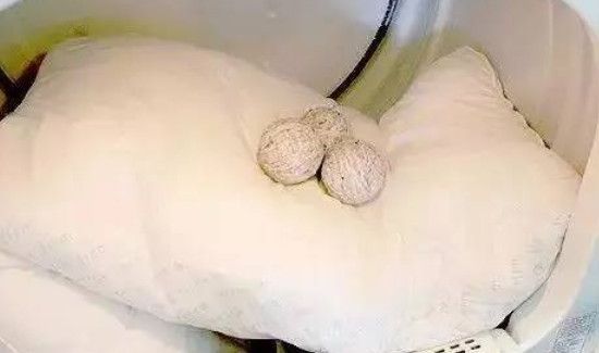 吹风机能除螨虫吗