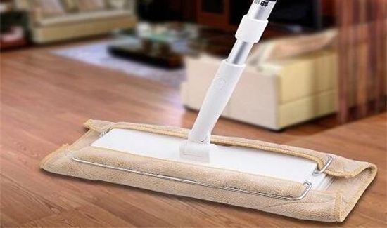 拖把上为什么会长蘑菇