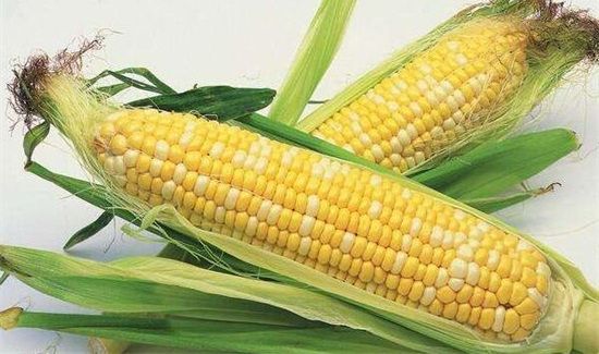 蒸米饭可以放玉米吗