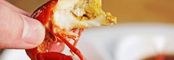 小龙虾的黄在哪里