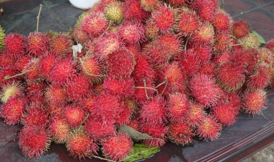 红毛丹怎么保存