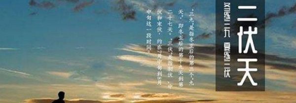 三伏天应注意什么事项