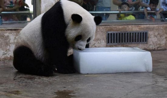 冰块可以活血化瘀吗