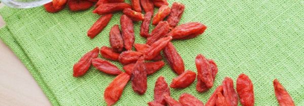 枸杞能和牛奶一起喝吗