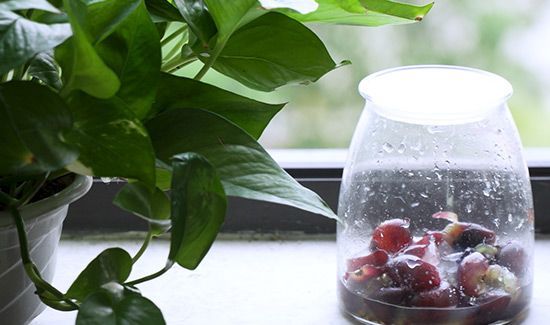 葡萄酒的制作方法