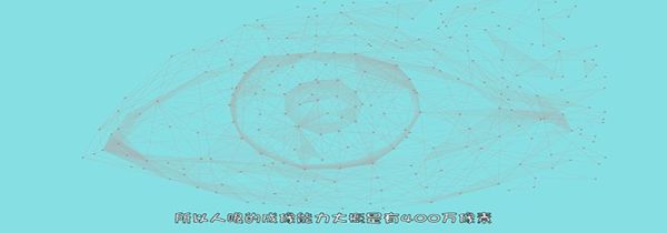 人的眼睛有多少像素