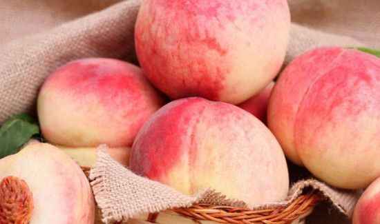 桃子软了是不是坏了