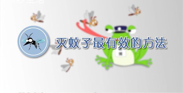 灭蚊子最有效的方法
