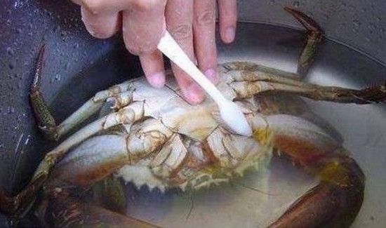 清蒸螃蟹如何清洗