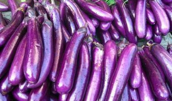 冬瓜和茄子能一起吃吗