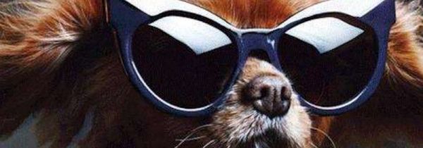 太阳镜能防紫外线吗