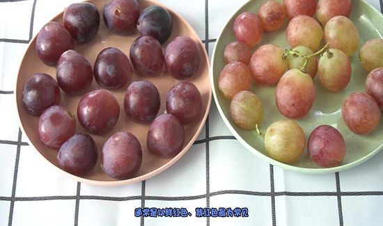 葡萄和提子的区别